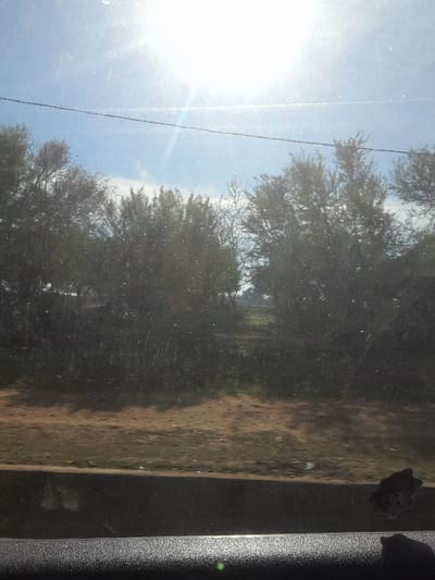 The scene, captured in Oued Jdida, Morocco, is an outdoor landscape viewed through a dirty vehicle window on a bright, sunny day. The upper portion of the frame features a light blue sky with a prominent sun in the upper right quadrant, generating significant glare and a linear lens flare. A thin, dark utility wire traverses the sky horizontally. Below this, a dense line of trees and shrubs with varying foliage density occupies the mid-ground. The lower mid-ground consists of reddish-brown bare earth transitioning to green patches of vegetation. The bottom quarter of the image displays the dark, textured interior surface of a vehicle, reflecting a small green light. An irregular dark object adheres to the lower right of the intervening window pane, which exhibits numerous dust particles and streaks. No individuals or discernible actions are present.