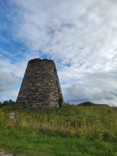 The image depicts the ruins of an old stone structure, possibly a windmill, set against a dramatic sky with scattered clouds. The structure is conical in shape and made of rough-hewn stones, exhibiting signs of significant weathering and age. It has a dark, textured surface with an opening visible on its right side. The ruin is surrounded by tall, wild grass and vegetation with yellow and purple wildflowers, suggesting an overgrown and natural setting. In the foreground, a dirt or gravel path is partially visible on the left. To the left of the ruin, a weathered wooden signpost with what appears to be warning symbols is partially obscured by the tall grass. The background shows a line of trees and a gentle slope, with a forested hill in the distance. The overall environment appears to be rural or a former industrial site that has been reclaimed by nature.