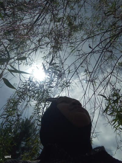 The image depicts a person looking upwards through a canopy of tree branches against a cloudy sky. The sun is visible, creating a lens flare effect. A portion of the person's face, wearing a dark head covering, is visible in the lower right quadrant of the image. The word "umi" is present in the lower left corner, possibly a watermark or caption. The environment appears to be outdoors, with foliage and branches dominating the frame. There are no discernible city landmarks or specific architectural features that would identify the location as Laugumba, Indonesia.