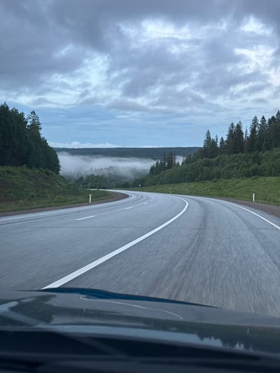 The image depicts a winding asphalt road with white dividing lines, bordered by dense green trees and grassy slopes. In the distance, a layer of fog blankets a forested valley, with a hazy sky overhead. The perspective is from inside a vehicle, with the dashboard visible in the foreground. There are no people or animals present. The scene appears to be a rural road in Div'ya, Russia, likely captured during overcast weather.