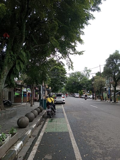 The scene depicts a street in Vaatharawattai, Sri Lanka, observed under a bright, overcast sky. The perspective is from a sidewalk looking eastward along a paved road.
In the immediate foreground on the left, a large tree trunk, densely covered in green ferns and other epiphytes, stands prominently. A red, cylindrical device is mounted on the tree trunk. Adjacent to the tree, a concrete sidewalk features a planter box with green foliage and extends into the distance. Five grey, spherical concrete bollards are arranged sequentially along the edge of the sidewalk, separating it from a distinct paved lane marked with a broad green stripe and a white border. A dark-colored motorcycle, bearing a license plate partially visible as "B 30," is parked on this green-striped lane, facing away from the viewer. A lone individual, clad in a black and yellow jacket displaying the word "MAXIM" on the back and wearing a black helmet, is seated on the motorcycle. Behind the motorcycle and bollards, various single-story commercial structures or street stalls line the sidewalk, exhibiting colorful signage, including one with the word "Makan."
The central and right portions of the image are dominated by a two-lane asphalt road, delineated by white solid and dashed lane markings. A white SUV is parked on the right side of the road, positioned behind the foreground motorcycle. Further down the road, multiple vehicles, comprising cars, vans, and motorcycles, are visible, some appearing to be in motion or parked. Both sides of the street are lined with numerous trees, providing a dense green canopy that partially obscures background structures. Utility poles with overhead power lines are intermittently visible along the street. The background extends to reveal more urban buildings and the continuation of the tree-lined thoroughfare beneath the uniform bright sky.
