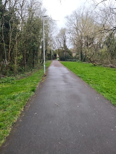 The scene depicts a straight, dark grey asphalt pedestrian pathway in Swindon, United Kingdom, appearing damp under an overcast sky. The path extends into the distance, slightly curving to the right beyond the immediate view. On the left, a narrow strip of bright green grass, dotted with small white flowers, separates the path from a dense line of trees and bushes, comprising both evergreen and deciduous species. A tall, slender grey metal lamppost with a single horizontal light fixture stands upright on the left side, beside the grass. To the right of the pathway, a wider expanse of vivid green grass is visible, beyond which numerous bare-branched deciduous trees rise. Faint architectural outlines, consistent with residential buildings, are discernible through the bare branches in the distant background. A small, thin brown stick rests on the paved surface in the foreground. No individuals or active subjects are present within the frame.