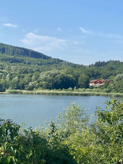 This is an outdoor, eye-level, full shot of a body of water with a wooded hill and a house in the background, taken on a sunny day. The foreground is filled with lush green foliage and some dark berries. The mid-ground features a calm, blue lake with a reedy shoreline. Beyond the lake, a wooded hill rises, densely covered with various shades of green trees. A modern-style house with a red roof and solar panels is visible nestled among the trees on the hillside. The sky is a clear blue with a few scattered white clouds. The overall scene depicts a tranquil, natural landscape with a human dwelling integrated into it. This image was taken in Tullnerbach, Austria.