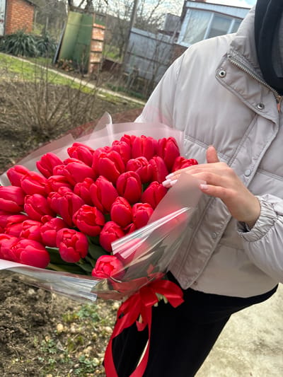 The scene depicts an individual holding a large bouquet of red tulips outdoors in Trudobelikovskiy, Russia. The person is wearing a light gray puffer jacket over a dark undergarment and black trousers or skirt, with their right hand, featuring a French manicure, resting on the bouquet's clear plastic wrapping. The bouquet consists of approximately 50-60 vibrant red tulips, tightly bundled, encased in clear plastic film over a white or light pink layer, and tied with a bright red satin ribbon. The background shows bare ground and sparse vegetation in the immediate foreground, transitioning to leafless trees and bushes. Distant residential structures, including a brick building, a lighter-colored building with a window, and various fences (one green corrugated metal), are visible under a bright sky.