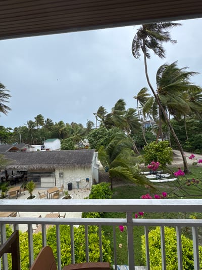The image shows a view from a balcony overlooking a tropical resort area on a cloudy day. The foreground features a white railing and some green foliage. Beyond the railing, there is a thatched-roof building with outdoor seating and tables. Further into the scene, palm trees with fronds blowing in the wind dominate the landscape, interspersed with other lush green trees and some smaller white buildings with green roofs. Two white kayaks or paddleboards are visible on the grass, along with some vibrant pink bougainvillea flowers. In the distance, there appears to be a larger building under construction or renovation. The sky is overcast, suggesting potentially stormy weather. The location is identified as Dhigurah, Maldives.