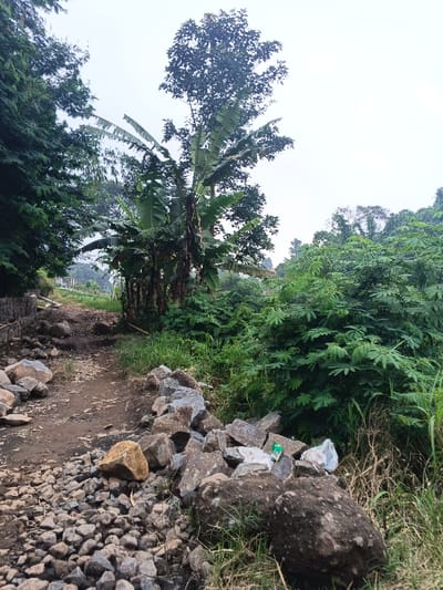 This image depicts a rural, unpaved dirt path in Makilala, Philippines, under an overcast sky. The path traverses from the foreground towards the background, showing an uneven, rocky surface. On the left, a rough, low stone retaining wall or embankment is partially visible, with numerous loose rocks and small stones scattered along the path's edge. On the right, a substantial pile of various-sized rocks borders the path; several pieces of white plastic debris, including one with a green label, are visible on top of this rock pile.
Dense green vegetation surrounds the path. To the left, tall trees with dark green leaves are prominent. In the center, a cluster of several banana trees (Musa spp.) with large, tattered leaves stands, one appearing to bear a developing bunch of fruit. To the right, a thick growth of shrubs with smaller, lighter green leaves and tall grasses lines the path. No human subjects, animals, or discernible actions are present in the scene.
