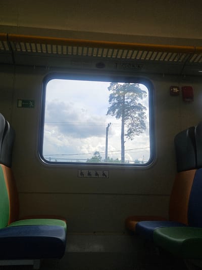 The image depicts the interior of a train car, likely in transit. The scene is viewed from inside the carriage, looking out through a rectangular window. Outside the window, two tall trees dominate the view, set against a backdrop of a cloudy sky. Power lines are visible running across the sky, adding to the landscape.

Inside the train car, a yellow handrail is visible on the left side of the window, affixed to the wall. Safety signs, consisting of pictograms indicating priority seating, are attached to the wall next to the window. Sections of train seats are visible on both sides of the frame, displaying a color scheme of blue, green, and orange.

The location is suggested to be near Tomilino, Russia. This would imply the landscape outside the window is typical of the surrounding area. However, this is based on contextual information provided, not directly observable from the image alone.
