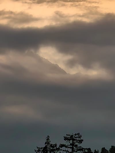 An outdoor, low-angle medium shot shows a mountain peak emerging from behind thick, gray clouds that are illuminated by a soft, golden light from an unseen source above. Silhouetted evergreen trees are visible in the lower portion of the frame, with the tops of two prominent trees in the foreground and a line of darker trees in the background. The sky occupies the upper half of the image, characterized by layers of dark, diffused clouds with patches of brighter, warmer light filtering through, particularly around the mountain peak. The overall atmosphere is somber and moody, suggesting a cloudy or twilight setting. The location is identified as Aleo, India.