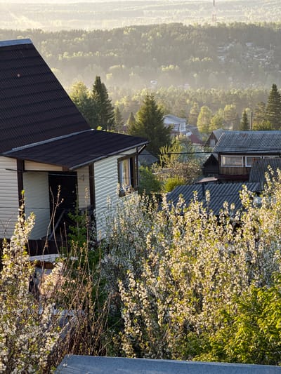 The image, taken in Minino Stantsiya, Russia, presents a serene rural landscape during the golden hour, likely early morning or late afternoon, indicated by the warm, directional light and soft shadows. The scene encompasses several houses nestled among abundant trees, extending into a hazy, forested distance.
In the foreground, a house with a dark, corrugated roof and light-colored siding occupies the left side. To its right, a large tree laden with white blossoms, possibly a cherry or apple tree, stands brightly illuminated by the sun, forming a vibrant focal point. Another building with a gray corrugated roof is partially visible behind the blooming tree. A simple grey railing or fence post on the far right suggests the photograph was taken from an elevated position.
The midground features more houses scattered among lush green trees, with various roof types. Faint utility wires and a pole are visible, hinting at the local infrastructure. The sunlight creates a gentle glow across the foliage and structures.
In the background, a vast expanse of forest covers rolling hills, appearing softened by a light haze or mist, adding depth to the scene. Small, indistinct structures, likely more dwellings or outbuildings, are discernible within the distant tree line. A tall, slender tower, possibly for communication or power, can also be faintly seen merging with the atmospheric haze in the far distance.
The overall atmosphere is one of peaceful natural beauty, capturing a moment of tranquility with no visible human activity or discernible text.