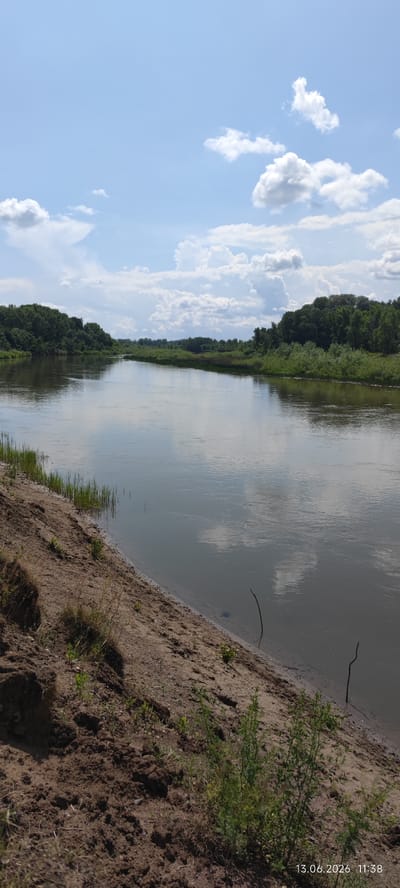 A wide, slow-moving river flows through a landscape of lush green trees lining both banks. The water reflects the cloudy blue sky, with fluffy white clouds scattered across it. The foreground features a sandy embankment with sparse vegetation and some freshly dug earth. The scene appears tranquil and natural, likely in a rural or undeveloped area.