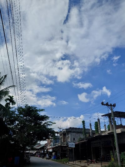 This image captures a bright, sunny street scene under a blue sky adorned with scattered white cumulus clouds. The perspective appears to be looking upwards and along a street, with the top half dominated by the sky and clouds.
In the mid-ground and foreground, multiple black power lines stretch horizontally across the frame, supported by utility poles on the right side. Lush green trees, including distinct palm trees, form dense foliage along the lower left and bottom edges of the image.
The right side of the scene reveals a paved road and a cluster of buildings. Some structures appear weathered or incomplete, with visible concrete pillars and exposed brickwork suggesting ongoing construction or disrepair. Near one of these buildings, a white sign with black text is visible. The text clearly reads "WARUNG KOPI" (coffee shop) on the top line, followed by "BU H. RANI" or "IBU H. RANI" below it. Indistinct shapes of parked motorcycles and possibly people can be seen near these buildings, but no specific activity is clearly taking place; it's a static street view.
The time of day is clearly daylight, indicated by the bright illumination and clear blue sky, suggesting sunny weather with scattered clouds. The tropical vegetation, utility infrastructure, and the specific text on the sign (Indonesian) strongly indicate the location is Mns Alue, Indonesia.