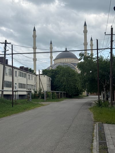 This is a daytime, eye-level, medium shot of a street in Malgobek, Russia, with a mosque visible in the background. The sky is overcast with thick, grey clouds. In the foreground, an asphalt road curves to the right. On the left side of the road, a low, multi-story building with a cream-colored facade and numerous windows is visible. In front of this building, there are metal pipes and a grassy area. Further back, obscured by trees, is a large mosque with a dark dome and multiple minarets. The mosque's architecture suggests it is a significant religious structure. On the right side of the road, there are utility poles with a tangle of overhead wires. A narrow sidewalk with a drainage grate runs along the right edge of the road. Dense green trees and foliage are scattered throughout the scene, contributing to a somewhat overgrown appearance in places. There are no people visible in the image. The overall impression is one of a quiet, somewhat ordinary street scene in front of an impressive religious building under a somber sky.
