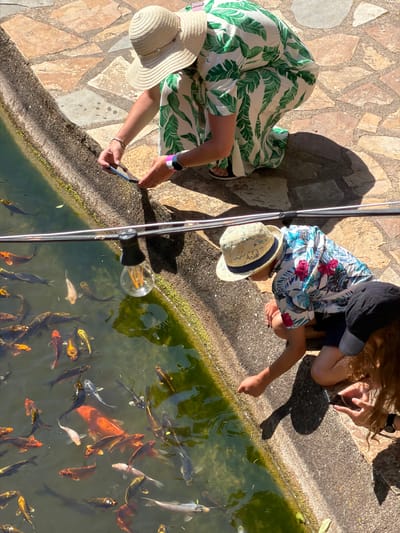 Observed from an overhead angle, the scene captures two individuals, a woman and a child, in Bunyola, Spain, near a koi pond. The woman, clad in a white dress patterned with green banana leaves and a straw hat, is using a smartphone, possibly to photograph the fish. A boy is kneeling, wearing a floral-print shirt and a straw hat, is seemingly interacting with the koi fish swimming in the pond. The pond itself is densely populated with koi of various colors. A lightbulb on a pole hangs above the pond. The surrounding ground is composed of stone tiles.