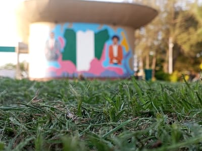 This low-angle shot taken in Tawpo, Nigeria, features a close-up view of green grass in the foreground. Behind the grass stands a structure, possibly a building or shelter, adorned with a mural. The mural depicts the flag of Nigeria flanked by portraits of two figures. The background includes trees and other greenery, suggesting an outdoor environment. A green trash can is also visible to the right of the structure.