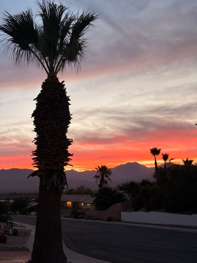 An outdoor, low-angle, vertical shot captures a palm tree silhouette against a sunset sky. The palm tree, with its rough, dark trunk and sparse, spiky fronds, dominates the left side of the frame. The sky is a dramatic gradient of colors, transitioning from a pale, cloudy grey at the top to vibrant hues of orange and red near the horizon. In the background, a row of dark, silhouetted mountains stretches across the scene. Below the mountains, a residential area is visible, with the warm glow of lights emanating from a house. The foreground features a paved road and sidewalk, with some landscaping elements, including cacti, partially visible. The setting appears to be a suburban neighborhood in Desert Hot Springs, California, USA, during dusk. There are no people or visible actions captured in the frame.