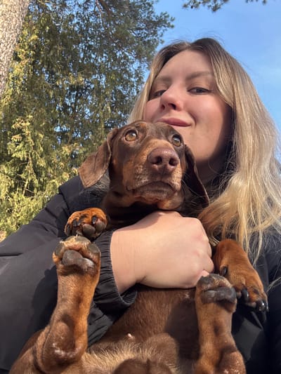 A female subject holds a brown dachshund in an outdoor setting in Zelenogradskiy, Russia. The woman, with blonde hair and wearing a dark puffer jacket, is visible from the chest up on the right, looking towards the camera with a subtle smile. She secures the dog against her body with her arms. The dachshund, with chocolate-brown fur and dark eyes, occupies the center of the frame, its head turned slightly upwards and to the right. Its front paws are visible resting on the woman's arm. The background consists of a clear blue sky and tall trees, some with green foliage and others with visible trunks, indicating bright daylight conditions.