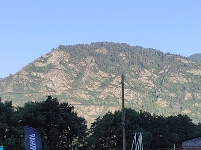 A sunlit, overcast mountain peak is covered in trees and rocky outcrops, dominating the background of a wide outdoor shot. In the foreground, a line of dark green trees forms a dense canopy, with a wooden utility pole and wires stretching across the frame. A black flag with white Russian text appears to the left of the utility pole. The scene suggests a rural or natural setting, possibly within the vicinity of Elekmonar, Russia.