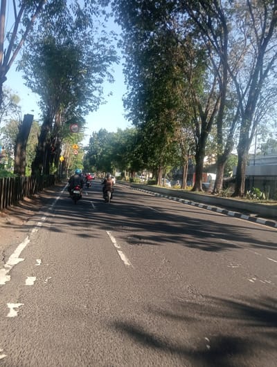 The image depicts a street scene in Waru, Indonesia, likely during daylight hours given the clear sky and distinct shadows. The perspective is from a moving vehicle, likely a motorcycle, looking forward down a paved road.
On the road, several individuals are riding motorcycles. The closest motorcycle in the foreground has a rider wearing a blue helmet and a dark jacket. Further ahead, another motorcycle rider is visible wearing a brown jacket. Several other motorcycles are scattered along the road in the distance, suggesting moderate traffic.
The road itself is asphalt with white lane markings. The left side of the road features a dark-colored fence made of vertical wooden posts, and beyond that, trees and foliage. The right side of the road has a concrete curb with alternating black and white rectangular patterns, followed by a grassy verge with more trees and some buildings in the background.
Along the left side of the road, several traffic signs are visible. One prominent circular sign with a red border and a red horizontal bar over a "30" indicates a speed limit of 30. Another diamond-shaped yellow sign with black symbols is also present.
The environment appears to be a relatively urban or suburban area, characterized by the presence of a paved road, traffic, and lined with mature trees casting long shadows across the asphalt, indicating the sun is at a relatively low angle. The overall impression is of a normal day of transit in this Indonesian city.