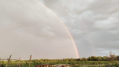This media file captures a rural landscape under a cloudy sky, highlighted by a prominent rainbow. The scene is set in Taldykorgan, Kazakhstan, likely during the day, as evidenced by the natural light. The weather appears to be post-rain, with lingering clouds and the atmospheric phenomenon of a rainbow.

The foreground features a rustic, wooden fence made of rough-hewn posts and horizontal planks, some of which are broken or in disrepair. Beyond the fence, a field of green grass stretches towards a line of trees forming the horizon. The trees are lush and varied, suggesting a natural, somewhat wild environment. In the distance, a faint, secondary rainbow can be observed, adding to the dramatic effect of the sky. The overall mood is serene and natural, possibly evoking a sense of hope or wonder due to the presence of the rainbow. There is no visible text in the image.