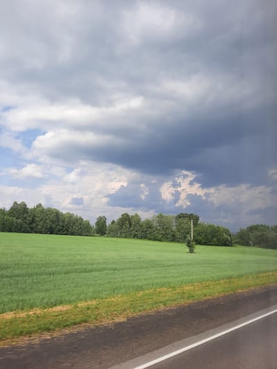 The image depicts a vast, green field under a dramatic, cloudy sky. The field is likely a crop of grain, judging by its uniform texture and color. A line of dense trees forms a natural border along the horizon, suggesting a rural or park-like setting. The sky is filled with a mix of dark, ominous storm clouds and patches of brighter, lighter clouds, indicating dynamic weather conditions. In the middle ground, a single, small tree stands in the field, adding a point of interest. The foreground shows a section of a paved road, likely a highway or a main road, with a white line marking its edge. The overall impression is of a wide-open landscape on the outskirts of a city, possibly Krapivinskiy, Russia, captured during a period of impending rain.