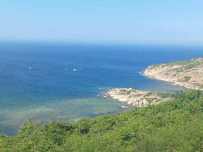This is a high-angle, panoramic shot of a coastal scene in Vinh Hai, Vietnam. In the foreground, lush green vegetation covers a sloping hillside, suggesting a somewhat elevated viewpoint. Beyond the vegetation, the clear blue ocean stretches out to the horizon, with a lighter, turquoise-colored shallows closer to the shore. Several small fishing boats are visible scattered across the water. The coastline features rocky outcrops and a sandy beach. The sky is a pale, cloudless blue. The overall impression is one of a serene, natural landscape.
