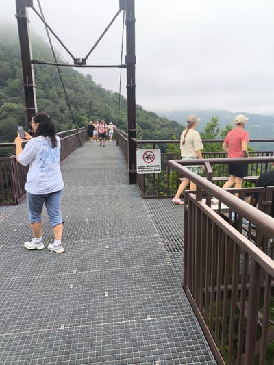 This image depicts a group of people walking on a pedestrian suspension bridge in Gaghma Nogha, Georgia. The bridge has a metal grate walkway and brown railings. In the foreground, a woman with dark hair pulled back is taking a photo with her phone. She is wearing a light blue t-shirt with text on the back and light blue cropped pants. Further down the bridge, two young women in casual attire, one in a tan t-shirt and the other in a red t-shirt, are walking away from the camera. In the background, several other individuals are visible walking on the bridge. The environment surrounding the bridge is mountainous and heavily forested, with fog obscuring the distant landscape. A sign with prohibition symbols and text in a foreign language is mounted on the railing.