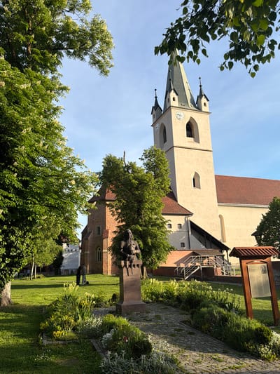 The image depicts a view in Târgu Mureș, Romania, featuring the Reformed Church in the city center. The church has a tall, slender spire with a clock face, connected to the main building via a bridge structure. The facade of the church is light-colored. In the foreground, there is a statue of Johannes de Hunyad 1456. Lush greenery surrounds the church and statue, including trees and well-maintained lawns. A stone pathway is visible in the foreground. Two people are standing on the grass near the statue.