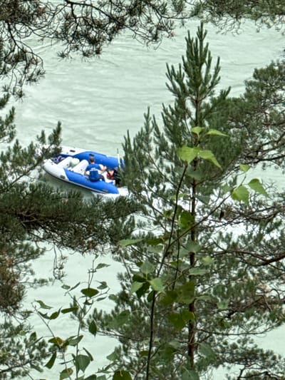In Chemal, Russia, a blue and white inflatable raft is drifting on a pale green, choppy body of water, possibly a river. A single person wearing a blue shirt is seated in the raft, facing away from the viewer, and appears to be steering or paddling. The raft has several white inflatable sections and a blue outer tube. The surrounding environment is dominated by dense coniferous trees, with their branches and needles framing the water and the raft. The foliage creates a sense of depth and obscures parts of the background. The overall lighting suggests an overcast or diffused daylight condition.