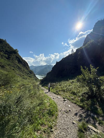 A lone person, seen from behind, stands on a gravel path winding through a mountain valley. The person is wearing a white t-shirt and dark pants. The path is surrounded by lush green vegetation and wildflowers. Towering, rocky mountains flank the valley, their slopes covered in trees. In the distance, a body of water, possibly a river or lake, is visible, nestled between more mountain ranges under a clear blue sky. The sun shines brightly, creating lens flare and casting shadows. The scene appears to be in a natural, remote area, possibly a hiking trail near Chemal, Russia, given the mountainous terrain and the presence of a river.