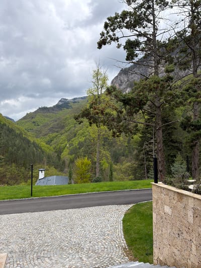 This media file presents a scenic landscape in Narechenski Bani, Bulgaria, under a heavily overcast sky. The image captures a blend of natural beauty and human infrastructure, viewed from a slightly elevated perspective.
In the foreground, on the right side, a wall or structure made of light brown, speckled stone is visible. Adjacent to it, a meticulously laid cobblestone path forms decorative concentric circular patterns, curving along the edge of a narrow asphalt road. A strip of vibrant green grass separates these paved areas. Further along the road and grass, a small, modern utility building with a grey, angled roof and a white base stands, accompanied by a tall, dark pole.
The left and central portions of the image are dominated by natural elements. Several large, evergreen trees with dark green foliage and prominent bark occupy the left foreground, their branches extending across the frame. Beyond these trees and the road, a vast mountain or hill rises, completely covered in dense, bright green deciduous trees, indicating a season of lush growth like spring or early summer. The mountain's rocky summit is visible through the cloudy conditions.
The sky is entirely overcast with thick, grey clouds, suggesting a muted and possibly cool day, though it is clearly daytime. No people or specific activities are depicted, giving the scene a tranquil and untouched feel despite the presence of the road and buildings. There is no visible text.