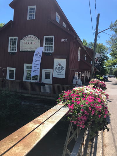 This is a sunny daytime, eye-level exterior shot of the historic Coldwater Grist Mill in Severn, Ontario, Canada, dating back to 1833. The large, red wooden building features multiple windows and signage. A prominent sign above a doorway reads "JERSEY LILY Choice Family FLOUR COLDWATER GRIST MILL H.L. Loveling & Co. 1880". To the right of this, a white banner displays "4AGE INC. - Fine Food Store - Catering - Gastro Food Truck - Licenced Patio" with a website address below. Further to the right, another banner reads "SEVERN Coldwater". The building has a wooden deck or porch in front of it, with planters filled with vibrant pink and white petunias adorning the railing. A rusty metal bridge railing is visible in the foreground, also decorated with similar flowering plants. A paved road runs alongside the building, with parked cars visible in the distance and trees lining the right side of the frame. The sky is clear blue. There are no people visible in the scene.