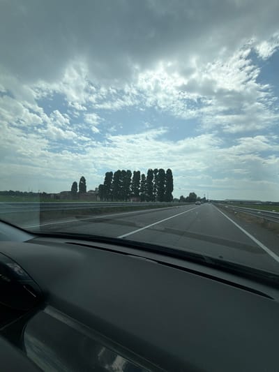 The image shows a view from inside a car, looking out at a highway. The car's dashboard is visible in the foreground on the right side. The highway stretches into the distance, with a guardrail on the right and a white line marking the lanes. Trees and buildings are visible along the side of the road. The sky is filled with clouds, suggesting it might be daytime with some overcast conditions. The image is oriented vertically, with the sky occupying the left side and the road extending upwards on the right. The overall scene depicts travel on a highway in a rural or semi-rural setting, likely in Novara, Italy, given the context. There are no people visible in the image.