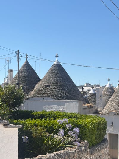 The image shows a view of the iconic Trulli houses in Alberobello, Italy. The architecture features conical roofs made of stone slabs. In the foreground, there is a low stone wall and lush green foliage with purple flowers. The background consists of more Trulli houses and a clear blue sky. The scene is bathed in sunlight, suggesting a warm, clear day. There are no people or animals visible in the image. Utility poles and wires are present in the upper left portion of the frame, indicating that the area is inhabited and has modern infrastructure. The overall impression is of a picturesque and historic town.