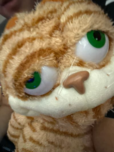 A close-up shows a stuffed, striped, orange and tan cat toy. The toy has large, green eyes, a brown, heart-shaped nose, and white plush on its face. The stripes are visible on the fur around the eyes and on the side of the toy. Fine, white whiskers protrude from its face. The location, College Station, United States of America, is not discernible from the image.
