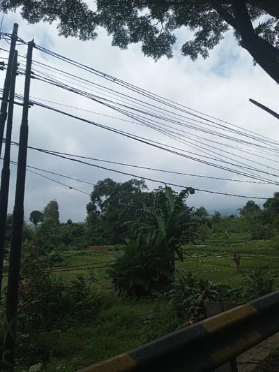 A natural landscape beneath an overcast sky. Thick, dark trees border the top of the image. Power lines stretch across the sky from a pole on the left. Green foliage fills the middle ground. A guardrail with black and yellow markings is in the lower right corner. The background features rolling hills and lush greenery, blending into the cloudy sky.