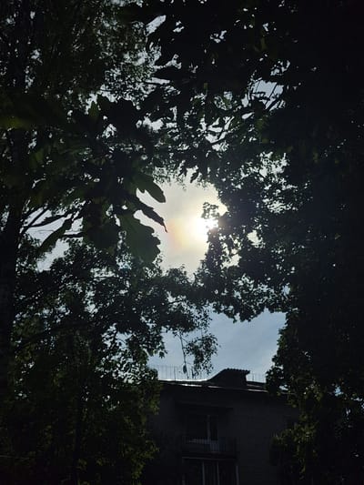 The image shows a view looking up through the branches of trees towards the sky. The sun is visible, partially obscured by leaves, and a faint rainbow-like effect is present in the sky. In the background, the roof of a brick building is visible, with a railing and what appears to be a chimney. The scene is set in the city of Pavlovo, Russia. The lighting suggests it is daytime.