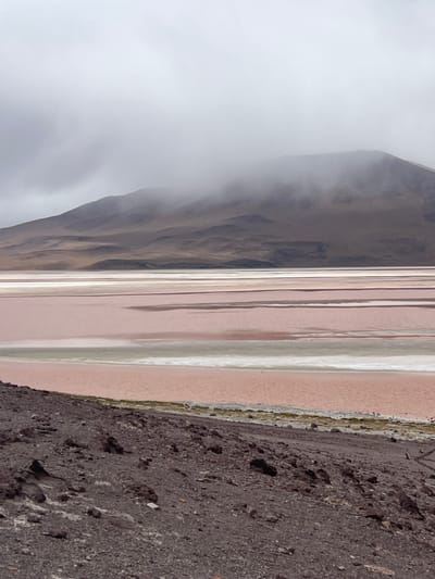 A vertical landscape image presents a serene scene. A towering, brown-hued mountain shrouded in mist dominates the left side of the frame. Parallel to the mountain lies a shallow, rose-colored lake reflecting the sky, interrupted by thin, light-colored stripes. The right edge of the image features a dark, rocky terrain that contrasts sharply with the pastel tones of the lake and mountain. The overall composition evokes a sense of tranquility and vastness.
