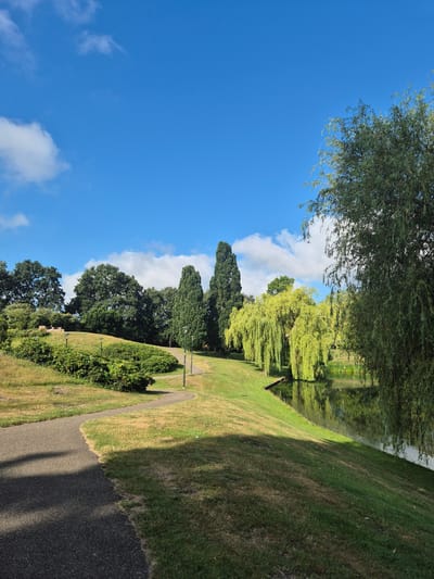 The image depicts a scenic park in Hilversum, Netherlands, on a clear day with a bright blue sky dotted with fluffy white clouds. A paved pathway curves through the grassy landscape, leading the eye towards a tranquil pond or small lake on the right. Lush green trees and shrubs populate the scene, with a prominent weeping willow tree whose branches cascade towards the water. The grass on the slopes is a mix of green and dry, indicating a summer or early autumn setting. The sunlight casts distinct shadows across the path and the grassy areas. In the background, a cluster of diverse trees, including tall conifers, adds depth to the composition. There are no visible people or animals in the frame, suggesting a peaceful, unoccupied moment in the park.
