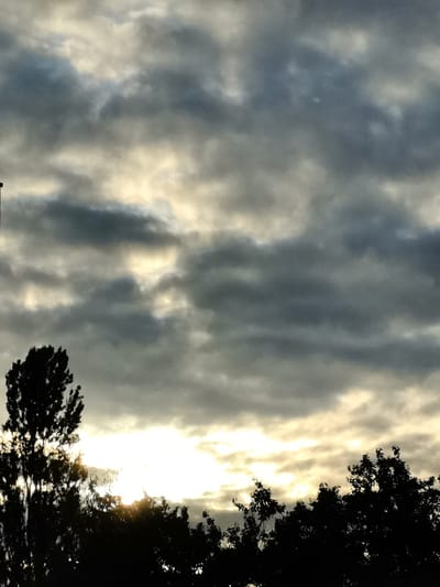 This media file shows a silhouetted tree line against a cloudy sky at sunset. The sun is visible through a gap in the clouds, casting a warm glow on the scene. The clouds are a mix of dark grays and lighter whites, with some streaks of yellow and orange. The trees are dark and lush, with their branches reaching up towards the sky. The overall mood of the image is peaceful and serene, with a touch of melancholy. The time of day is sunset, and the weather is cloudy but clearing. The location is Pinsk, Belarus. There is no visible text in the image.
