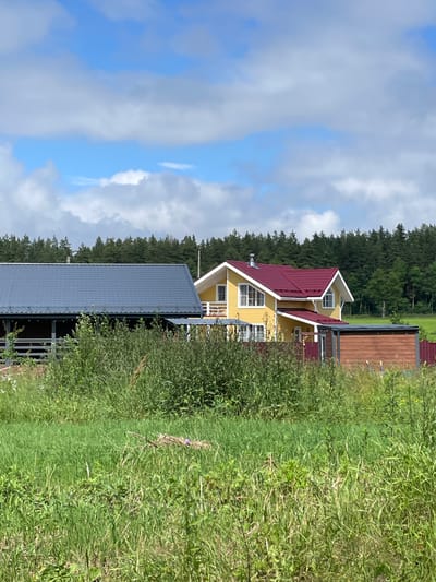 The image depicts a rural scene in Solov'evka, Russia, featuring two houses and a natural landscape. In the foreground, tall, dense green grass and vegetation dominate, obscuring the lower portions of the structures.

The first house, on the left, has a dark gray, gabled roof and appears to be a single-story dwelling with an open-air covered porch or veranda along its front. The porch has visible support posts and a railing. Behind this house, a wooden structure, possibly a shed or outbuilding with a brown, wood-paneled exterior, is visible.

To the right of the first house is a second, larger house, painted yellow with a prominent, steep, red gabled roof. This house has multiple windows and appears to be two stories high. A chimney is visible on the roof. The yellow house is partially obscured by the vegetation and the first house.

In the background, a dense, dark green forest stretches horizontally across the image, forming a treeline. Beyond the treeline, a bright blue sky with scattered white, fluffy clouds is visible. The overall impression is one of a quiet, semi-rural or suburban setting under a clear, partly cloudy sky. No people are present in the image, and no actions or interactions are depicted.