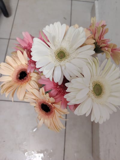 A bouquet of gerbera daisies is arranged in a vase, with white, pink, and peach-colored blooms dominating the composition. The flowers are wet, with small droplets of water visible on their petals. The background appears to be a tiled surface, possibly a floor or countertop. The image is taken from a top-down perspective, focusing on the arrangement of the flowers. The overall impression is one of freshness and natural beauty. The image is not located in the city of Konigil, Uzbekistan.