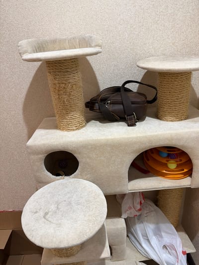 An indoor scene depicts a multi-level cat tree with beige carpeting and sisal rope scratching posts. The cat tree has several platforms and an enclosed cubbyhole. On one of the upper platforms, a dark brown leather crossbody bag with a strap rests. Inside the cubbyhole, a rolled-up toy with multiple colored balls is visible. On a lower shelf, a white plastic bag with red markings is present. The background is a textured beige wall. No people or animals are visible in the image. The location is identified as Александровка, Russia.