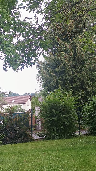 This is a photograph taken outdoors in Windeck, Germany, during daylight hours, under an overcast sky. The scene is a view of a backyard with a lawn in the foreground. In the middle ground, behind a fence, is a small building with a white facade and a dark roof, possibly a shed or an extension to a house. Adjacent to this building is dense green foliage, including bushes and trees. Further in the background, a portion of a residential house with a tiled roof is visible, partially obscured by trees. The foreground consists of a neatly mowed green lawn with scattered white clover flowers. The overall atmosphere is peaceful and domestic.