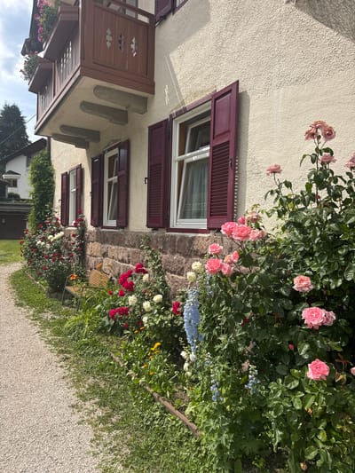 The image depicts a charming house with traditional architecture, likely in a European setting given the location context of Urtijëi, Italy. The house features a textured, light-colored facade and is adorned with dark red shutters on its windows. There are multiple windows, some with open shutters revealing glimpses of white curtains. A small balcony with intricate wooden latticework extends from the upper floor, with hanging flower baskets adding a touch of color.
The foreground is dominated by a lush garden brimming with vibrant flowers. Pink roses are prominent, climbing the wall of the house and cascading down. Interspersed with the roses are other blooming plants in shades of red, white, and delicate blue. The garden is lush and appears well-maintained, suggesting a warm season. A small, rustic wooden table and chair are partially visible within the garden, hinting at a relaxing outdoor seating area.
The ground beside the garden is covered with a gravel path, typical of many gardens and outdoor spaces. The sunlight suggests it is daytime, likely morning or afternoon, with gentle shadows cast on the house wall, indicating a pleasant, sunny day. The overall atmosphere is serene and picturesque, evoking a sense of tranquil beauty and rural charm. There is no visible text in the image.