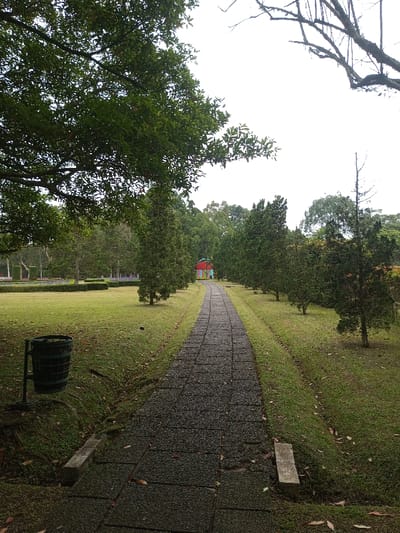 A stone path stretches towards a colorful structure at the end, flanked by rows of trees. Green grass and a large tree occupy the left side of the path, contrasting with the grassy slope on the right. A dark green trash can stands near the beginning of the path on the left. The sky appears overcast, casting a soft light on the scene.
