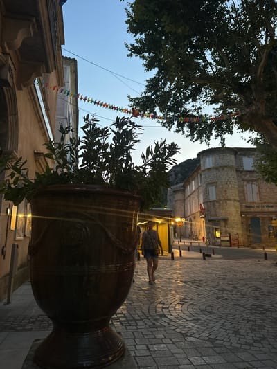 The image depicts a cobblestone street in Anduze, France, likely during dusk. A large, dark-colored planter with greenery in the foreground occupies the left side of the frame. String lights with colorful triangular flags are suspended across the street between buildings. In the mid-ground, a woman walks away from the camera, wearing a patterned top and denim shorts. She carries a small crossbody bag. The street is lined with stone buildings, some with lit windows and awnings. One building on the right has a sign that reads "TABAC DE LA TOUR". The sky is a clear blue, transitioning to darker hues towards the top, suggesting the end of daylight. A large tree with dense foliage is visible in the upper right corner of the image.