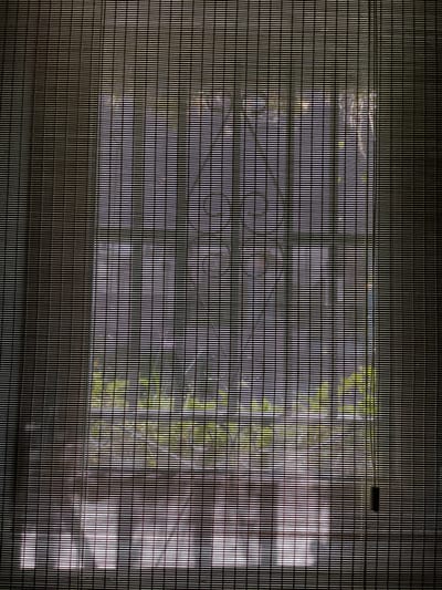 The image depicts a window with a bamboo blind, partially drawn to reveal an outdoor scene. Sunlight filters through the gaps in the blind, casting striped patterns of light and shadow across its surface and the interior. Through the blind, glimpses of green foliage suggest trees or plants outside. The overall impression is one of a dimly lit interior looking out onto a bright, possibly daytime, exterior. There is no specific indication of the city of Sant Sadurní D'anoia, Spain within the image itself.