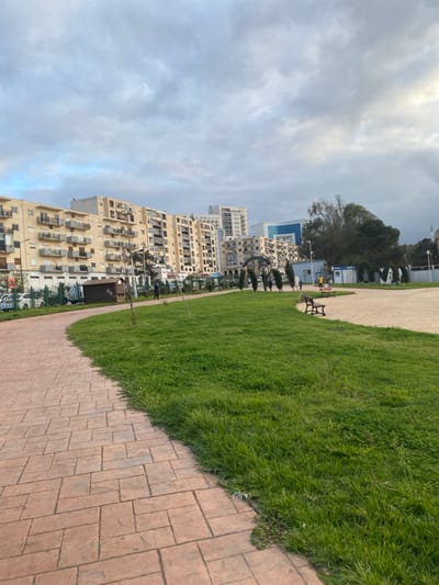 The image depicts an urban park scene in Oran, Algeria, under an overcast sky. A wide, curved pathway made of reddish-brown stamped concrete or pavers dominates the lower left and foreground, arcing towards the mid-right. To the right of the pathway and filling the middle ground is an expanse of green grass, showing varying textures and growth.
In the mid-ground, a dark-colored slatted park bench rests on a lighter, possibly sand or gravel, surface. Several slender, uniform trees or tall shrubs are planted in a line further back along the grassy area. A lone individual walks on the pathway towards the center of the frame. Another small group of at least three individuals is visible among the slender trees in the mid-distance. A person, possibly a child, is discernible near the bench area.
The background features a row of multi-story residential buildings, approximately five to seven floors high, with light-colored facades and numerous dark-railed balconies. A street or road with parked vehicles, including white cars, lies between the park and these buildings. Further to the right in the background, a cluster of dense green trees partially obscures some structures. Small, rectangular utility structures with blue and white elements are visible near these trees. Taller, more modern buildings, including one with a blue-tinted glass facade, rise in the far background. A flag, possibly Algerian, is partially visible on a pole at the far right. The sky is largely covered by diffuse grey clouds.