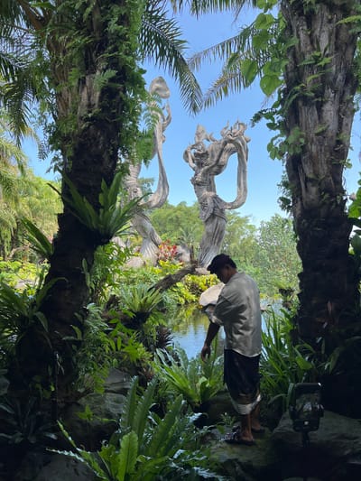The image shows a scene in Kedewatan, Indonesia. The viewpoint is framed by the trunks of two trees, densely covered in ferns and other foliage. In the gap between the trees, there is a body of water, which reflects the surrounding greenery. At the edge of the water, a man stands, wearing a grey shirt, dark shorts, and sandals. He is leaning over the water, with his hand reaching towards the surface. Beyond the water and the man, there is a sculpture of intertwined, twisting forms, possibly representing a figure or figures. The sky above is a clear blue. The overall environment is lush and tropical.