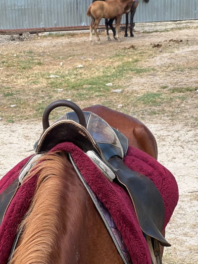 The image is a close-up, overhead shot of a horse's back, equipped with a saddle and a burgundy-colored saddle pad. The saddle is made of dark leather with some visible wear. A rider's hand is gripping a metal stirrup, suggesting the beginning or end of a ride, or a pause during one. In the background, out of focus, are two other horses standing in a dry, grassy area with some scattered debris. A corrugated metal fence is visible to the left. The lighting suggests it is daytime, possibly late afternoon, with the sun casting shadows. The scene appears to be outdoors, likely in a stable yard or paddock. There is no visible text in the image. The overall impression is one of a rural equestrian setting.